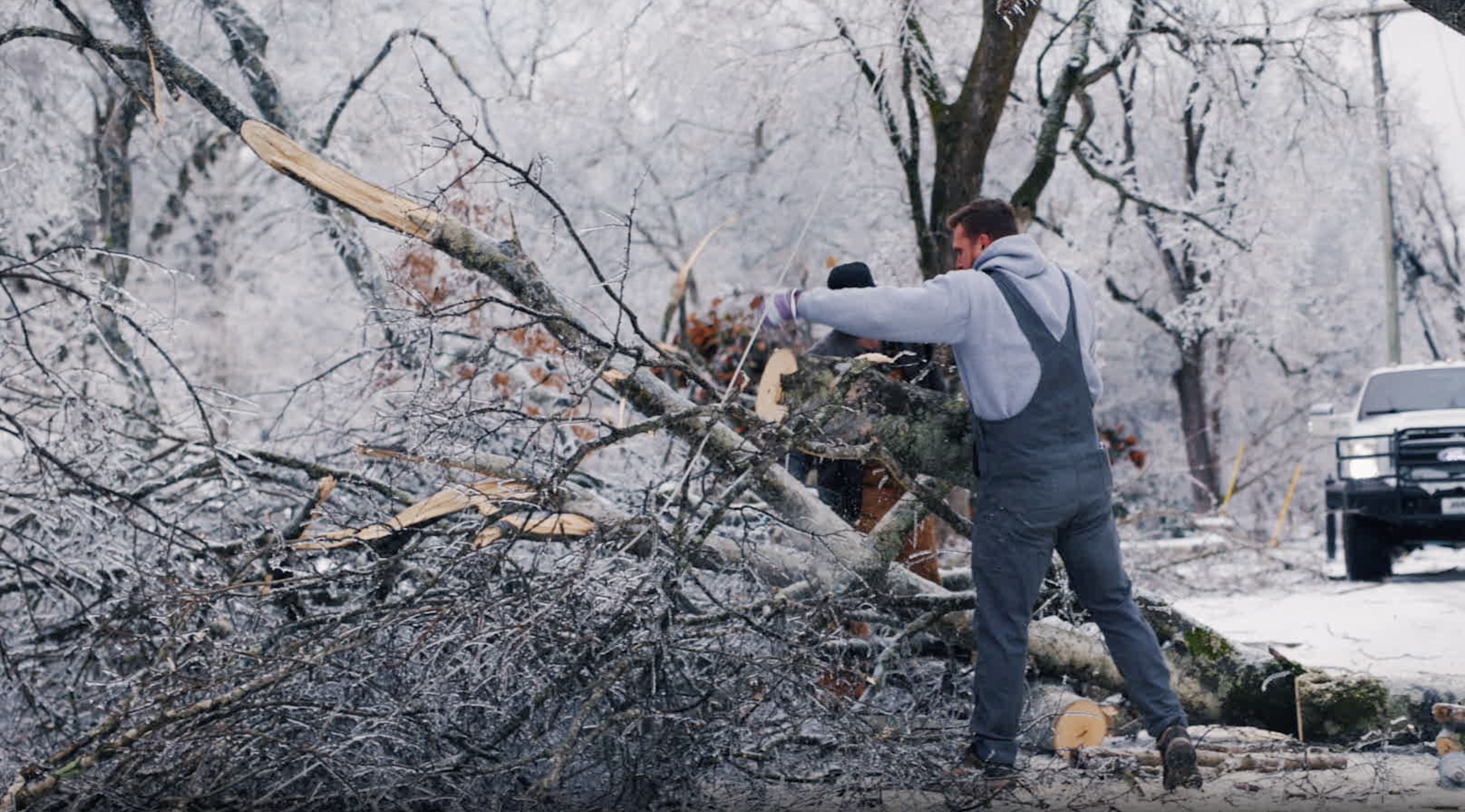 screenshot 2026 01 31 at 5.24.54 pm screenshot 2026 01 31 at 5.24.54 pm